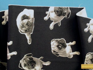 ȃvgIbNXnpOE×O[i110cm@1mj