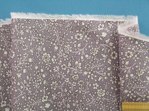 ȃ[vgnԁEO[×Iti110cm@2mj