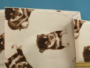 ȃvgIbNXnCkE×RQi110cm@1mj