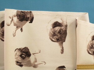 ȃvgIbNXnpOE×O[ni110cm@1mj