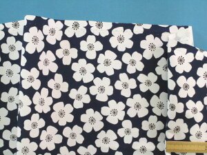 ȃvgIbNXnԁE×Iti110cm@1mj