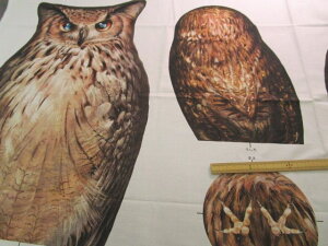 ȃvgntNEEIt×ni105cm@0D5mj