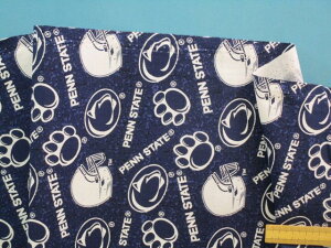 USARbgn×Iti105cm@2mj