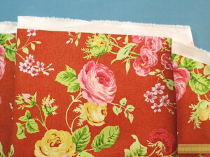 ȃvgIbNXnԁEIW×sNi110cm@2mj