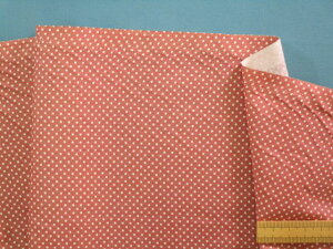 ȃvgnʁEasNn×Iti110cm@2mj