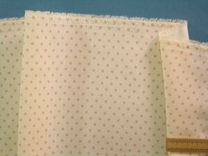 ȃvgnijʁEN[×sNni110cm@2mj