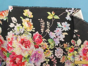 ȖLoXnԁE×ZsNi110cm@2mj