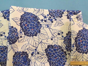 Șavghr[nzԁEx[W×u[i100cm@2mj