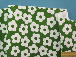 ȃvgIbNXnԁEOn×Iti110cm@1mj