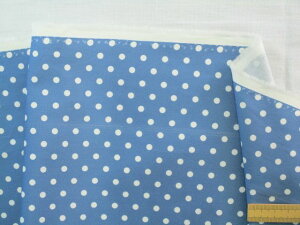 USARbgnqXrʁEu[n×Iti110cm@2mj