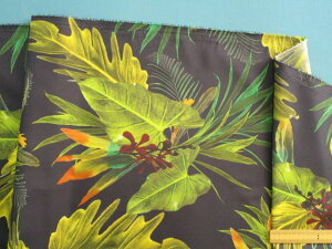 iC^t^vgnAE×CG[ni150cm@1D5mj