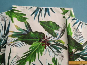 iC^t^vgnAEIt×Oi150cm@1D5mj