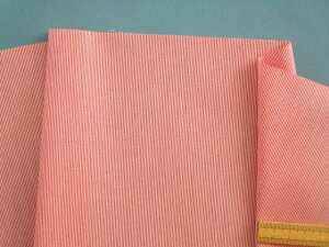 ȃ|Xgb`XgCvnIt×ԁi110cm@2mj