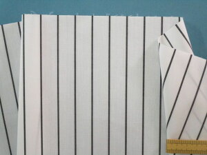 ȃ|XgCvnIt×ni110cm@2mj