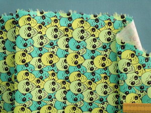 USARbgnFlEOn×i105cm@2mj