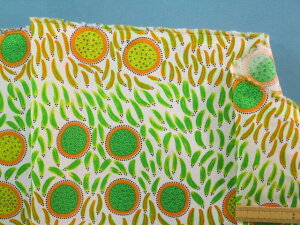 USARbgnIt×IWi105cm@2mj