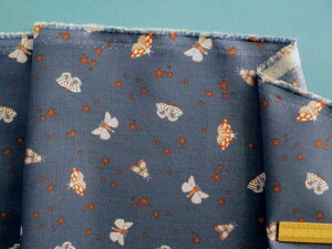 USARbgn/E×i110cm@2mj