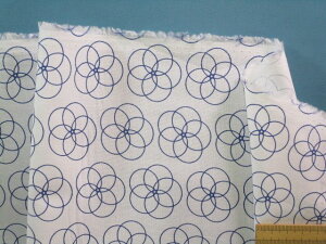 USARbgnIt×u[i110cm@2mj