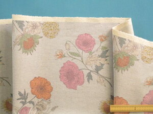 ȖLoXnԁEO[n×IWi105cm@1mj