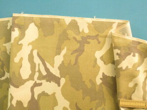 ȃvglnʁEAC{[×XOni100cm@2mj