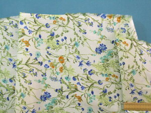 ȃ[vgnԁEAC{[×IWi105cm@2mj