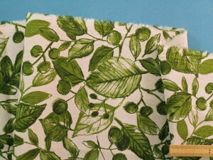 ȖLoXnAE×i110cm@1mj