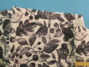 ȖLoXnAE×O[i110cm@1mj