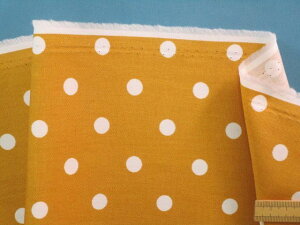 ȃvgIbNXnʁERn×Iti110cm@1mj