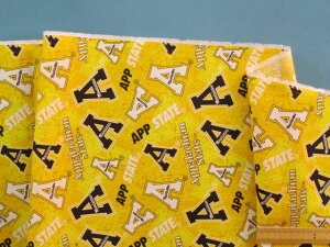 USARbgnpECG[×i105cm@2mj