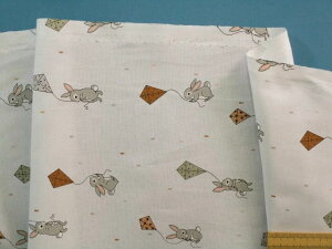 USARbgnEO[×i105cm@2mj