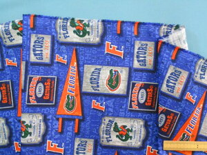 USARbgnu[×IW×Oi105cm@2mj