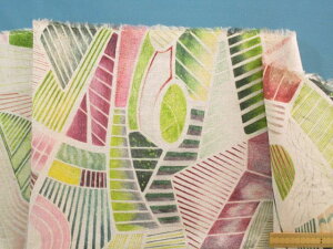 ȃvgnij×sNi110cm@2mj