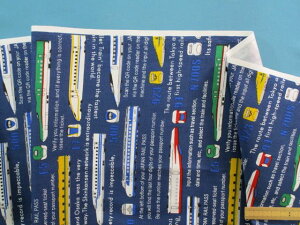 ȃvgIbNXnV/pEi110cm@1mj