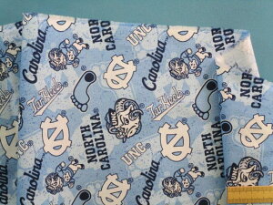 USARbgn×Iti105cm@2mj