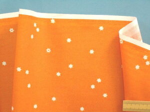 USARbgnEIW×Iti105cm@2mj