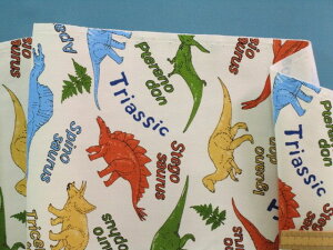 ȃvgIbNXn/pEAC{[×Zi110cm@1mj