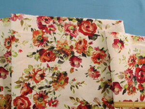 ȖLoXnԁE×ԁi110cm@2mj