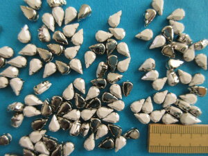 ����t���r�W���[��×��