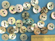 貝ボタン（11mm）