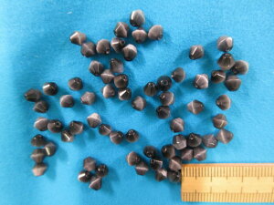 LbcACiKXr[Yj@5×5mmn