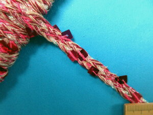 XpR[u[hi1cm@5mjZsN×I[