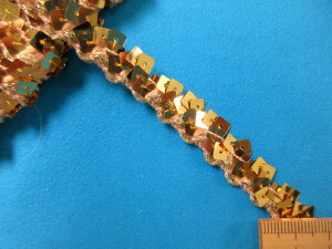 Xgb`XpR[u[hi1.4cm@4mj