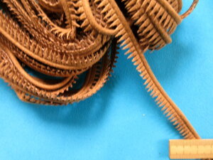 ݌ɏXG[hpCsOZx[Wi1cm@10mj