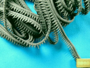 ݌ɏXG[hpCsOO[i1cm@10mj