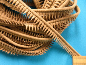 ݌ɏXG[hpCsOZx[Wi1cm@10mj