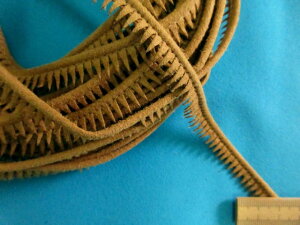 XG[hpCsOZx[Wi1cm@10mj