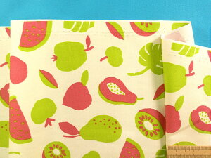 ȃvgIbNXnʕAC{[×sNn×L~hi110cm@2mj