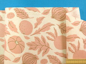 ȃvgIbNXn؁EAC{[×sNni110cm@2mj