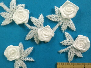 ݌ɏr[Y×Te{`[tIti5j