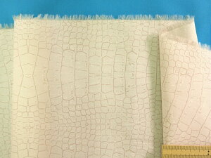 ݌ɏȃvgnjO[n×asNi110cm@2mj